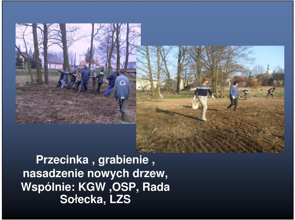 nasadzenie nowych