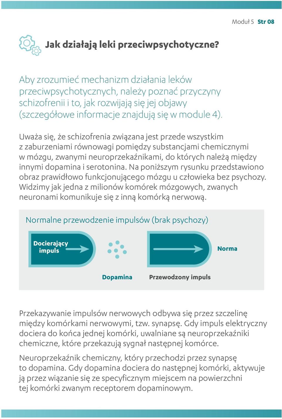 Uważa się, że schizofrenia związana jest przede wszystkim z zaburzeniami równowagi pomiędzy substancjami chemicznymi w mózgu, zwanymi neuroprzekaźnikami, do których należą między innymi dopamina i