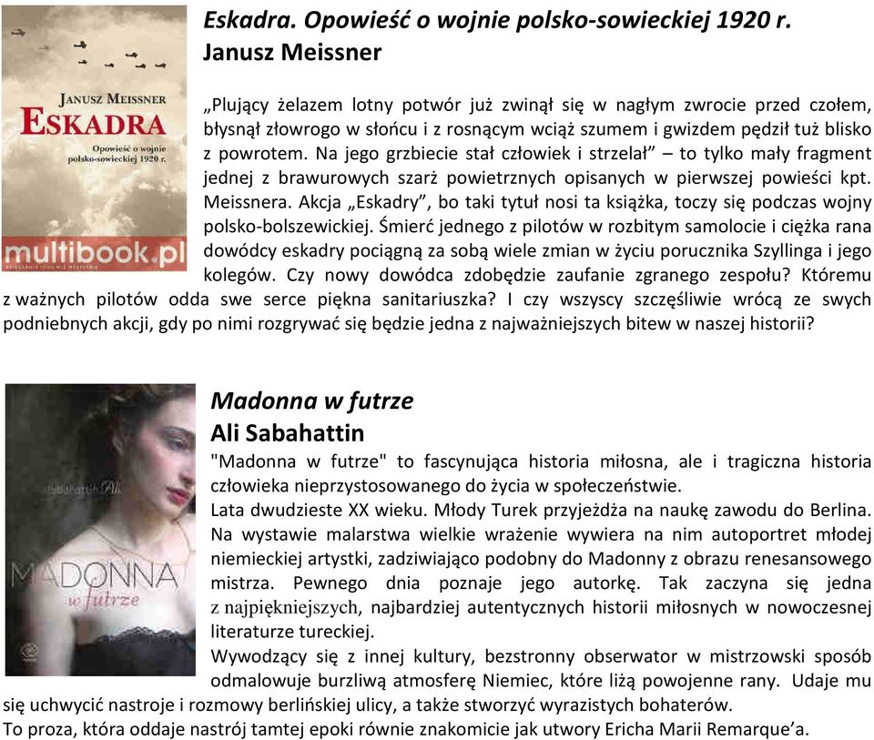 Na jego grzbiecie stał człowiek i strzelał to tylko mały fragment jednej z brawurowych szarż powietrznych opisanych w pierwszej powieści kpt. Meissnera.