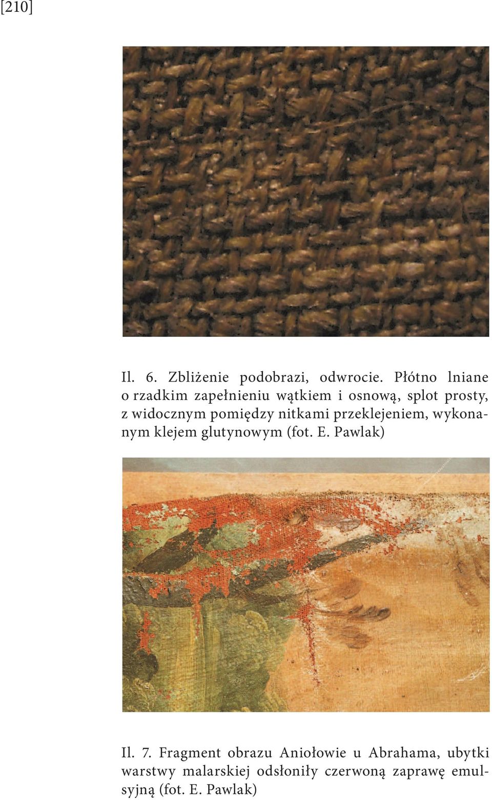 pomiędzy nitkami przeklejeniem, wykonanym klejem glutynowym (fot. E. Pawlak) Il.