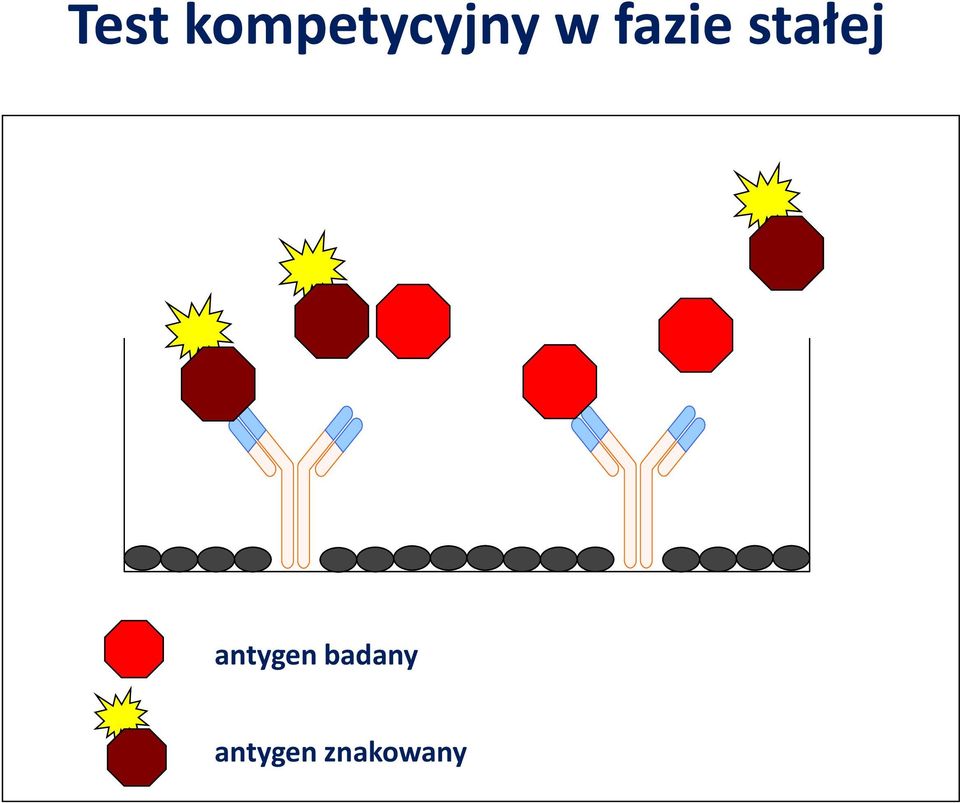 fazie stałej