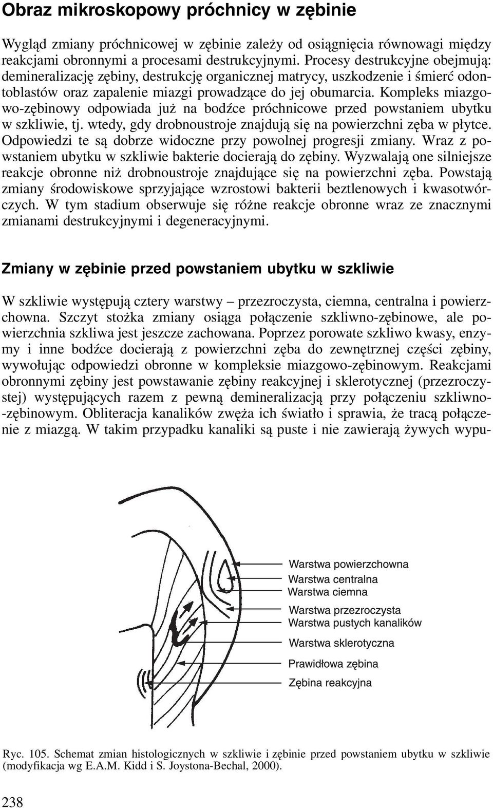 Kompleks miazgowo-zębinowy odpowiada już na bodźce próchnicowe przed powstaniem ubytku w szkliwie, tj. wtedy, gdy drobnoustroje znajdują się na powierzchni zęba w płytce.