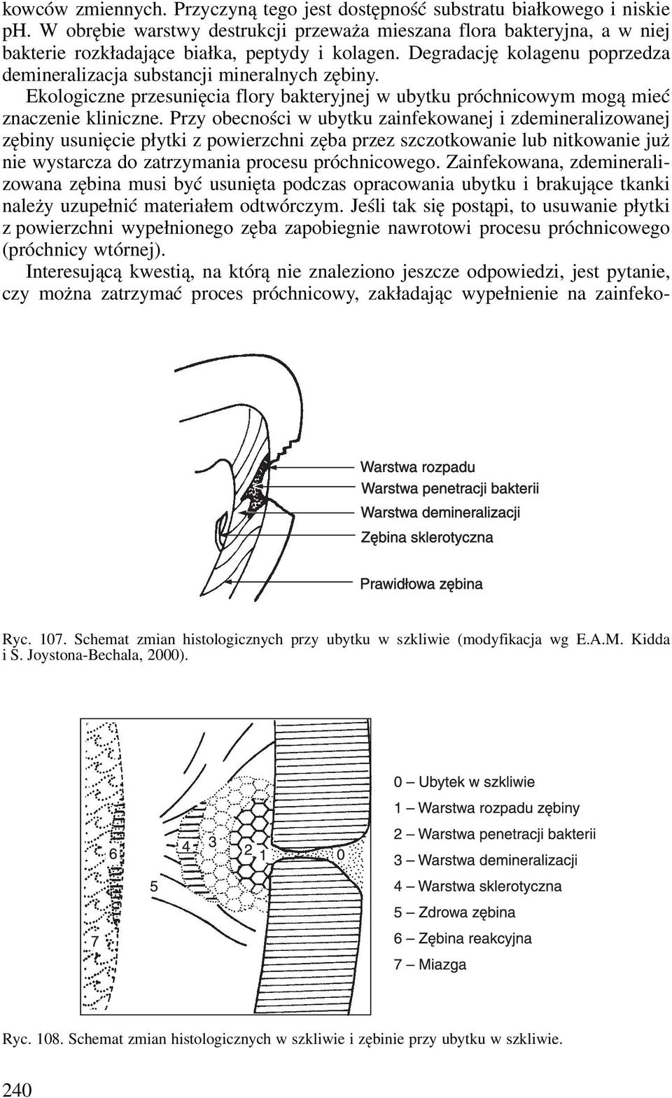 Ekologiczne przesunięcia flory bakteryjnej w ubytku próchnicowym mogą mieć znaczenie kliniczne.