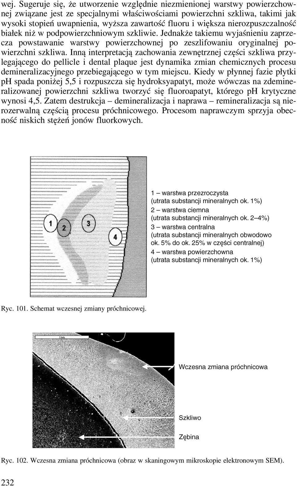 Jednakże takiemu wyjaśnieniu zaprzecza powstawanie warstwy powierzchownej po zeszlifowaniu oryginalnej powierzchni szkliwa.