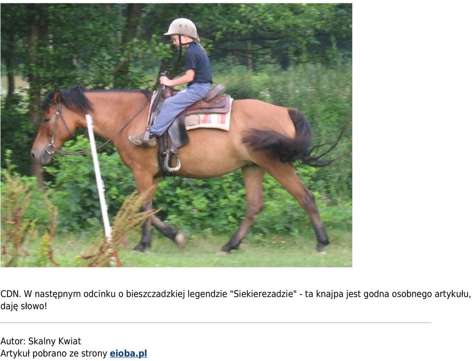 godna osobnego artykułu, daję słowo!