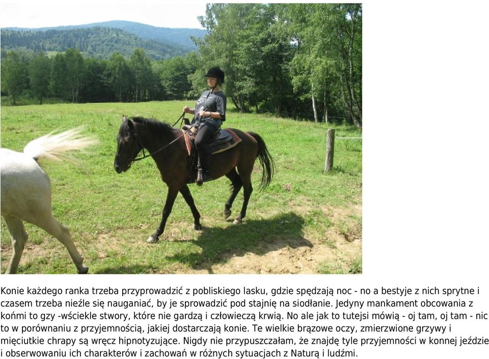 No ale jak to tutejsi mówią - oj tam, oj tam - nic to w porównaniu z przyjemnością, jakiej dostarczają konie.