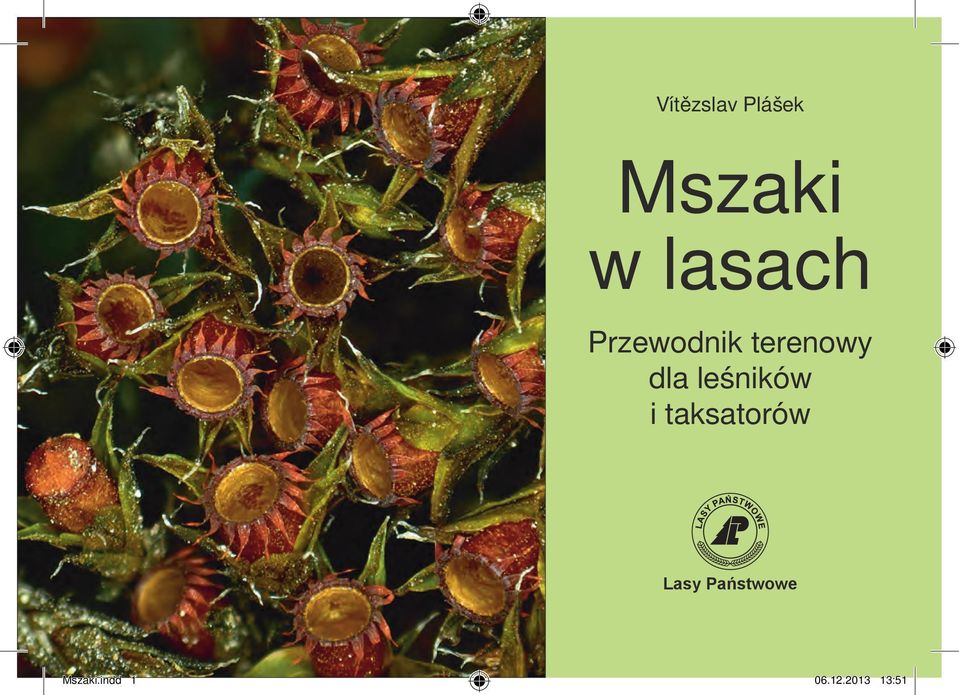 leśników i taksatorów Lasy
