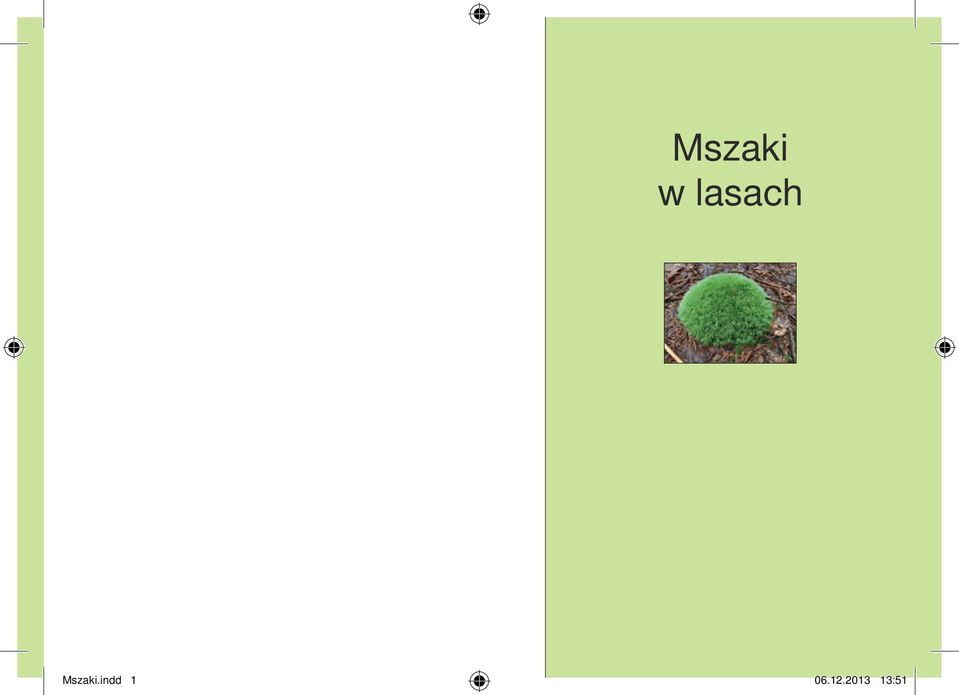 Mszaki.