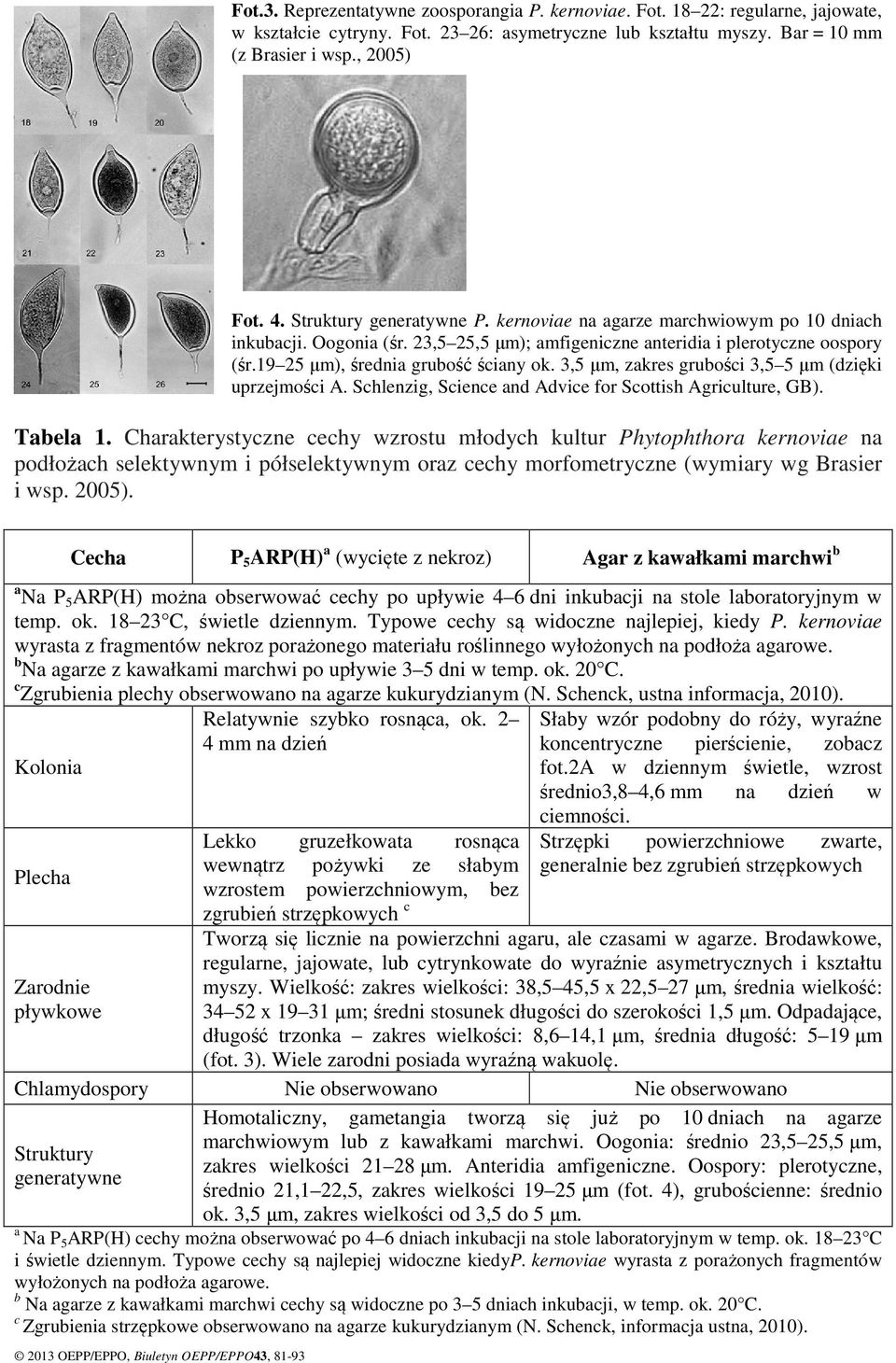 3,5 µm, zakres grubości 3,5 5 µm (dzięki uprzejmości A. Schlenzig, Science and Advice for Scottish Agriculture, GB). Tabela 1.