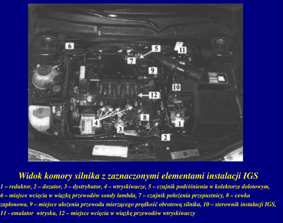 lambda, 7 czujnik położenia przepustnicy, 8 cewka zapłonowa, 9 miejsce ułożenia przewodu mierzącego prędkość