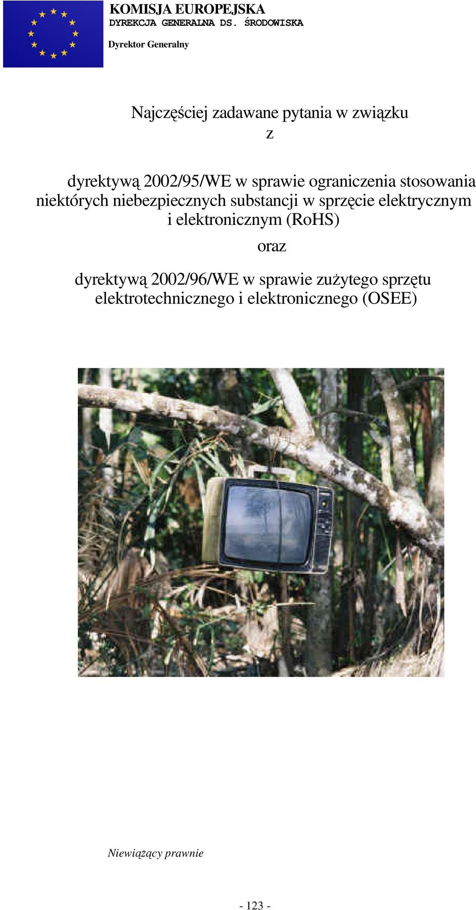 2002/95/WE w sprawie ograniczenia stosowania niektórych niebezpiecznych substancji w