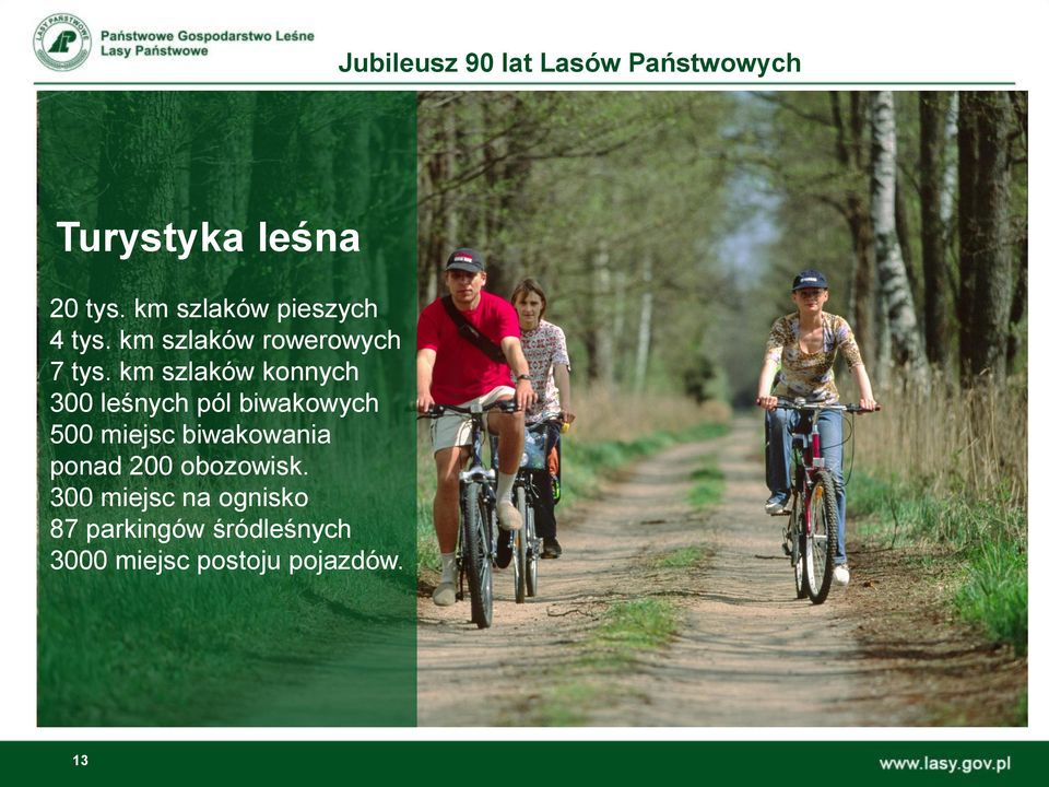 km szlaków konnych 300 leśnych pól biwakowych 500 miejsc
