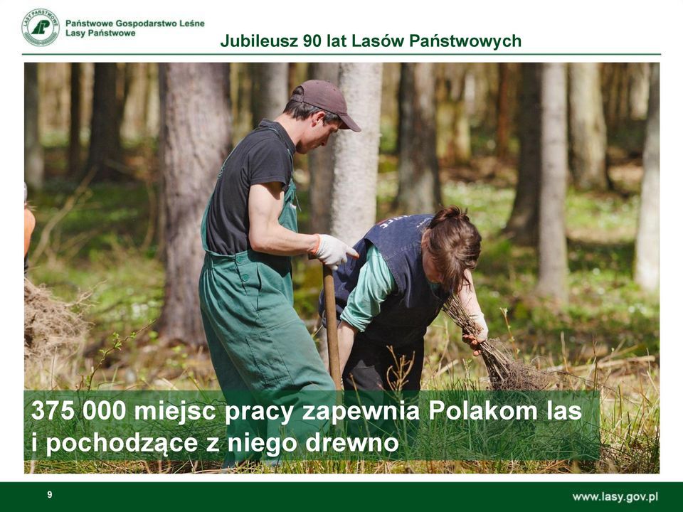 Polakom las i