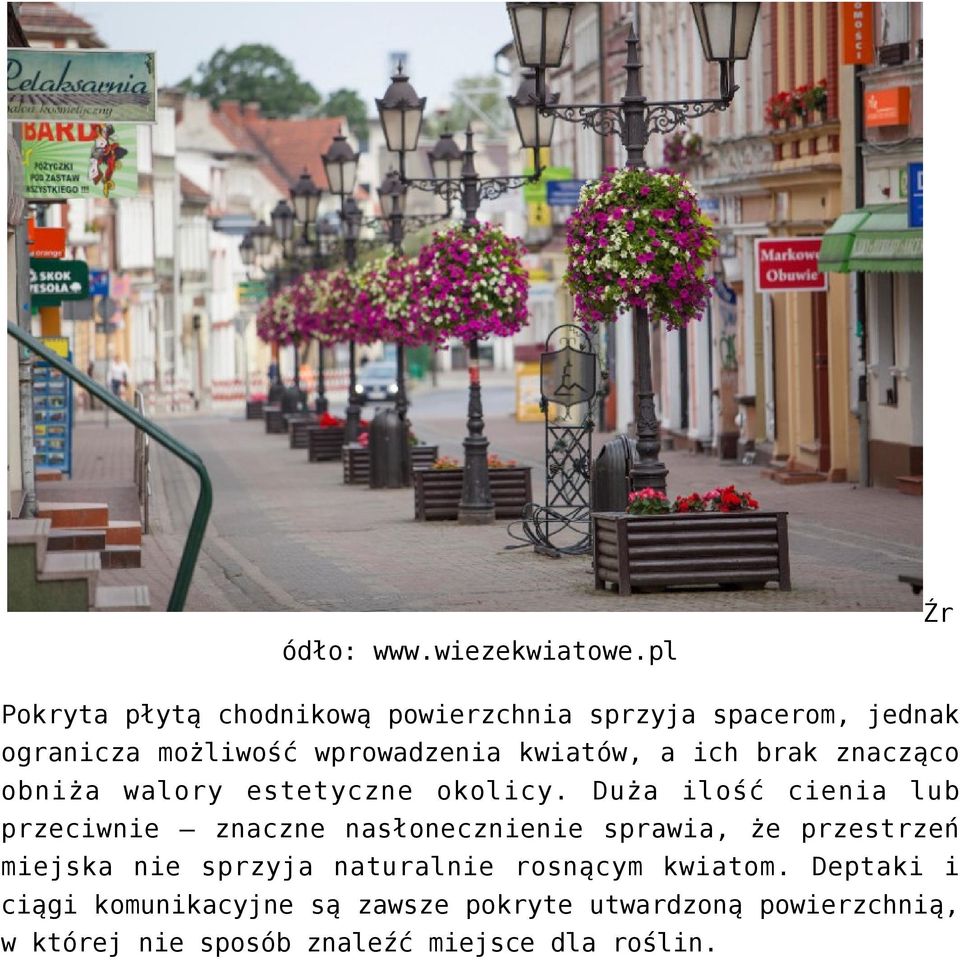 a ich brak znacząco obniża walory estetyczne okolicy.