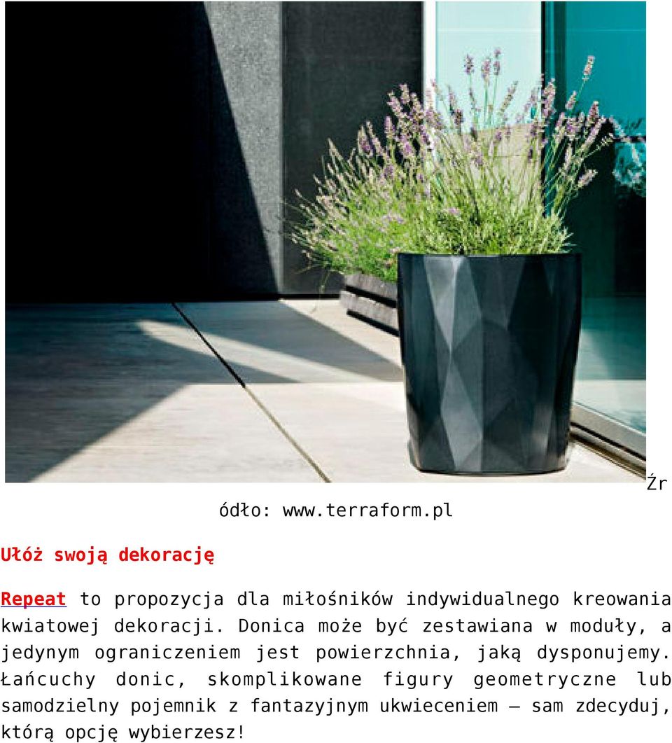 kwiatowej dekoracji.