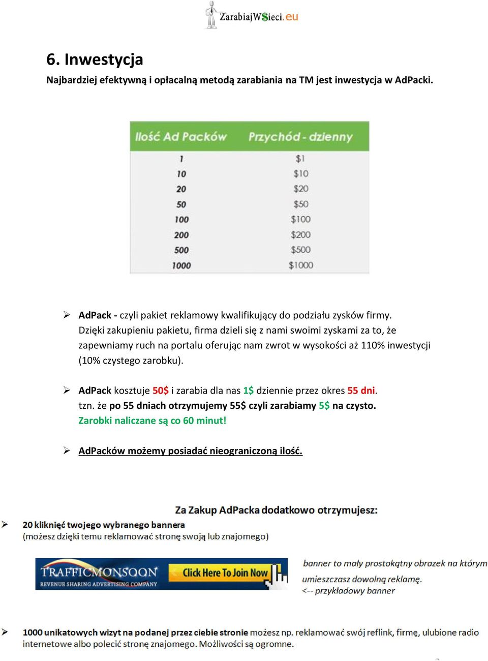 Dzięki zakupieniu pakietu, firma dzieli się z nami swoimi zyskami za to, że zapewniamy ruch na portalu oferując nam zwrot w wysokości aż 110%
