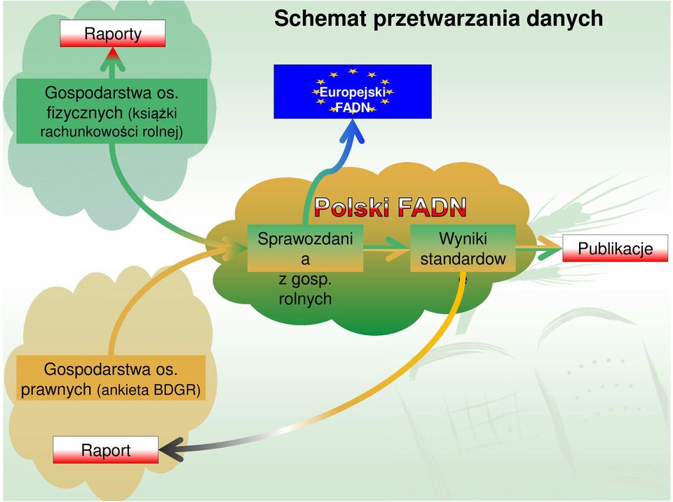 FADN Sprawozdani a z gosp.