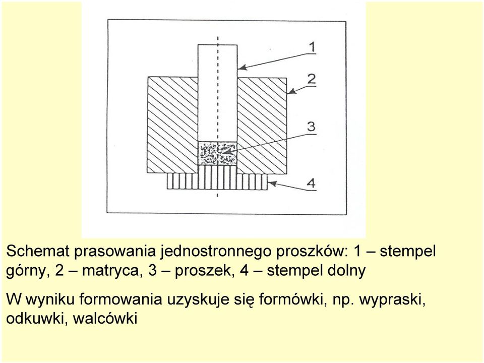 stempel dolny W wyniku formowania uzyskuje