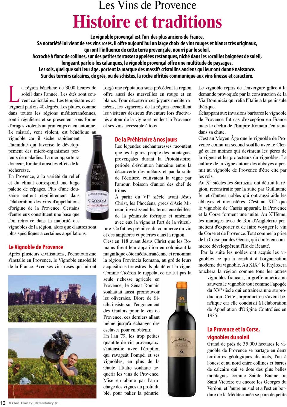 Accroché à flanc de collines, sur des petites terrasses appelées restanques, niché dans les rocailles baignées de soleil, longeant parfois les calanques, le vignoble provençal offre une multitude de