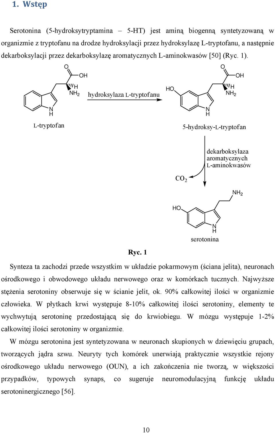 O O OH OH H H 2 hydroksylaza L-tryptofanu HO H H 2 H L-tryptofan H 5-hydroksy-L-tryptofan dekarboksylaza aromatycznych L-aminokwasów CO 2 H 2 HO Ryc.