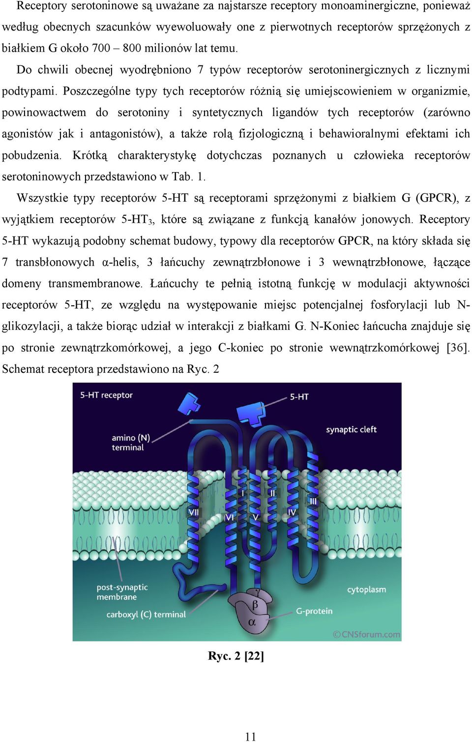 Poszczególne typy tych receptorów różnią się umiejscowieniem w organizmie, powinowactwem do serotoniny i syntetycznych ligandów tych receptorów (zarówno agonistów jak i antagonistów), a także rolą