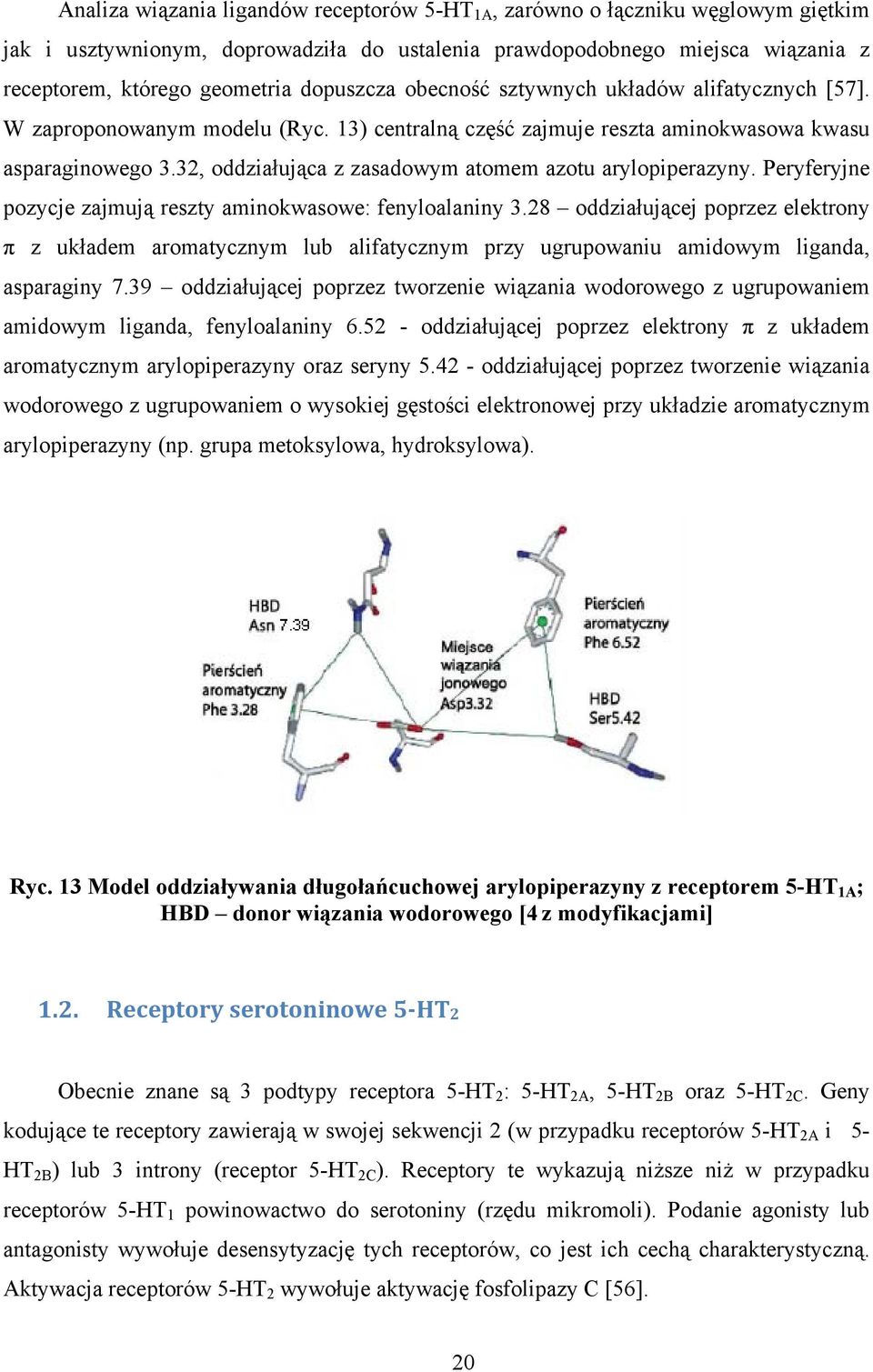 32, oddziałująca z zasadowym atomem azotu arylopiperazyny. Peryferyjne pozycje zajmują reszty aminokwasowe: fenyloalaniny 3.