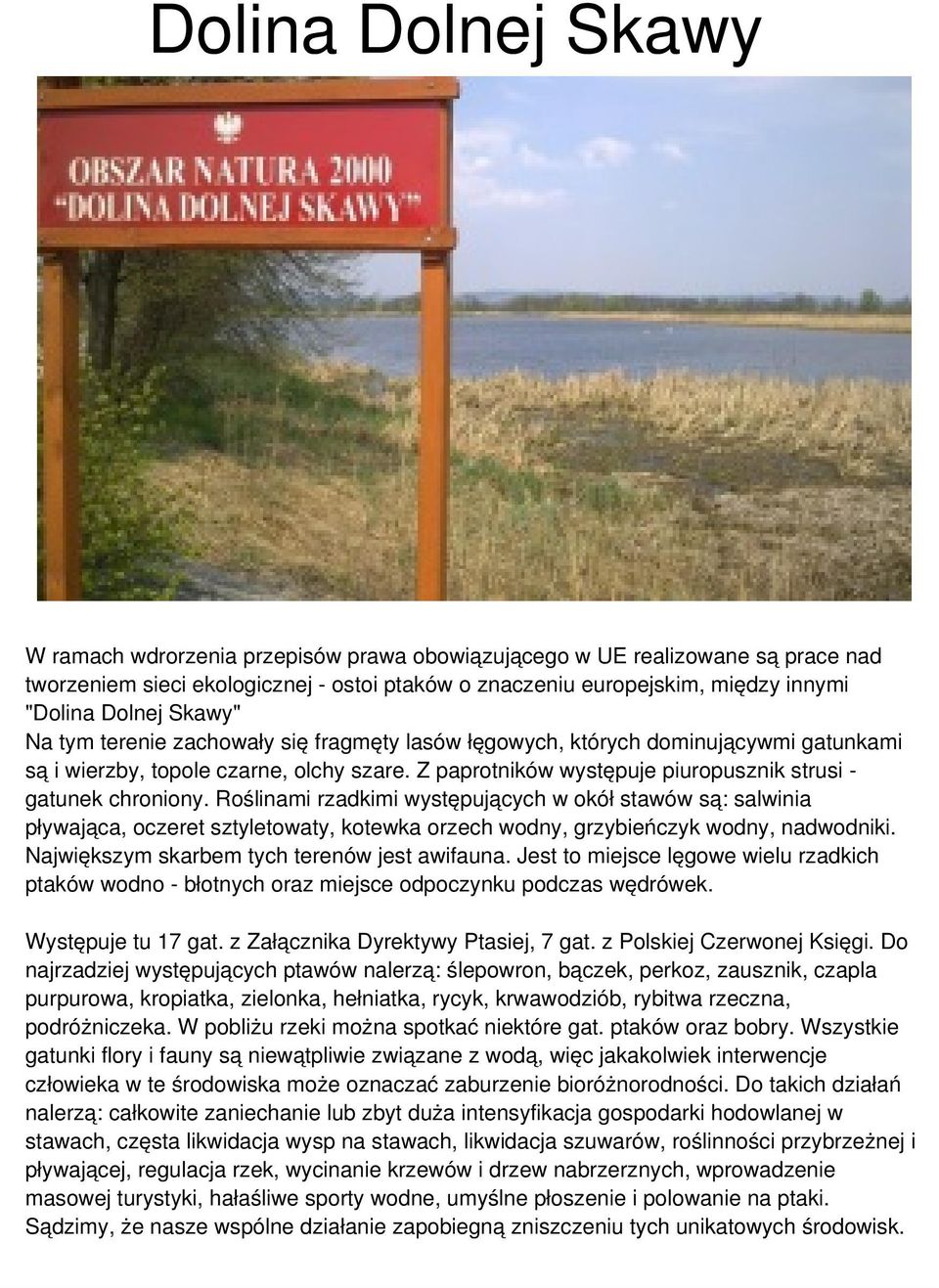 Roślinami rzadkimi występujących w okół stawów są: salwinia pływająca, oczeret sztyletowaty, kotewka orzech wodny, grzybieńczyk wodny, nadwodniki. Największym skarbem tych terenów jest awifauna.