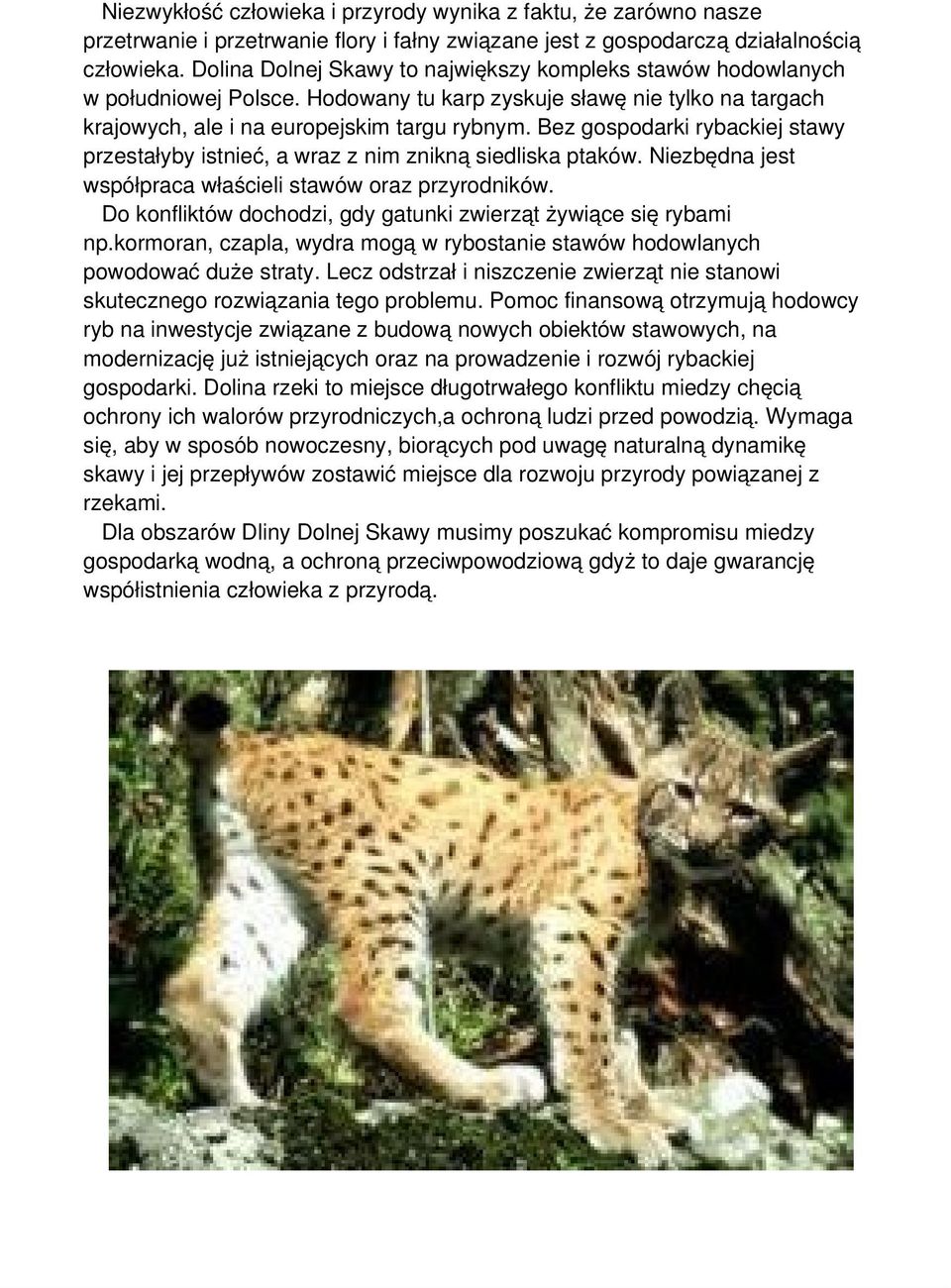 Bez gospodarki rybackiej stawy przestałyby istnieć, a wraz z nim znikną siedliska ptaków. Niezbędna jest współpraca właścieli stawów oraz przyrodników.