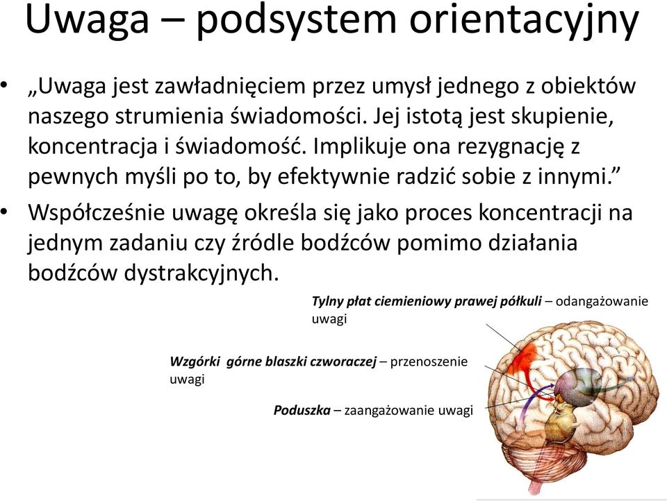 Implikuje ona rezygnację z pewnych myśli po to, by efektywnie radzid sobie z innymi.