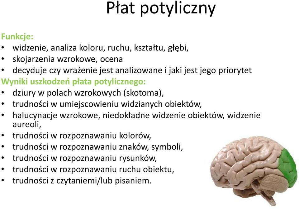 umiejscowieniu widzianych obiektów, halucynacje wzrokowe, niedokładne widzenie obiektów, widzenie aureoli, trudności w rozpoznawaniu