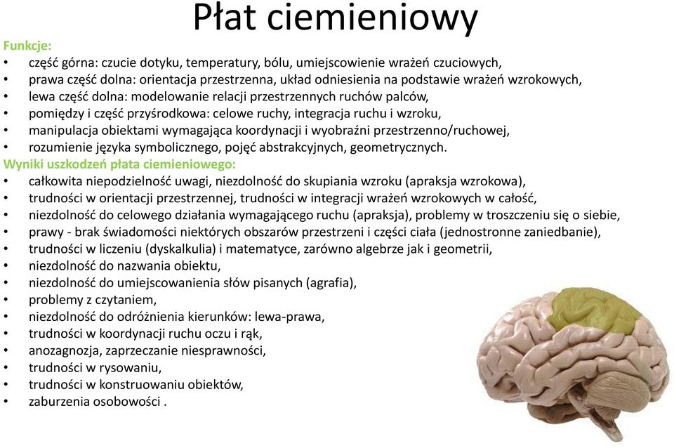 wyobraźni przestrzenno/ruchowej, rozumienie języka symbolicznego, pojęd abstrakcyjnych, geometrycznych.