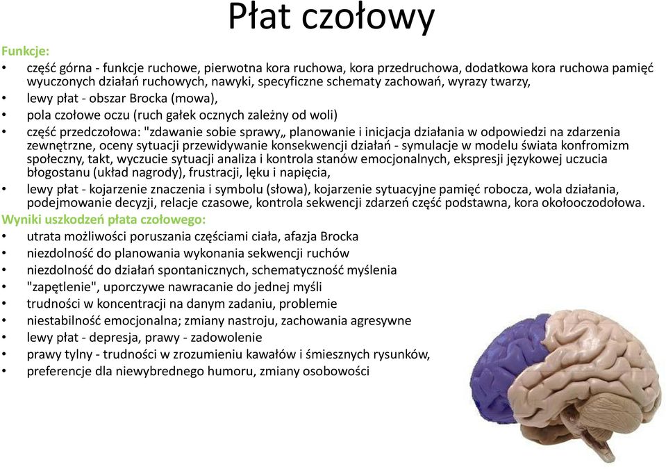 zdarzenia zewnętrzne, oceny sytuacji przewidywanie konsekwencji działao - symulacje w modelu świata konfromizm społeczny, takt, wyczucie sytuacji analiza i kontrola stanów emocjonalnych, ekspresji