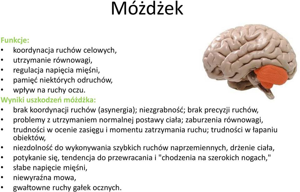 zaburzenia równowagi, trudności w ocenie zasięgu i momentu zatrzymania ruchu; trudności w łapaniu obiektów, niezdolnośd do wykonywania szybkich ruchów