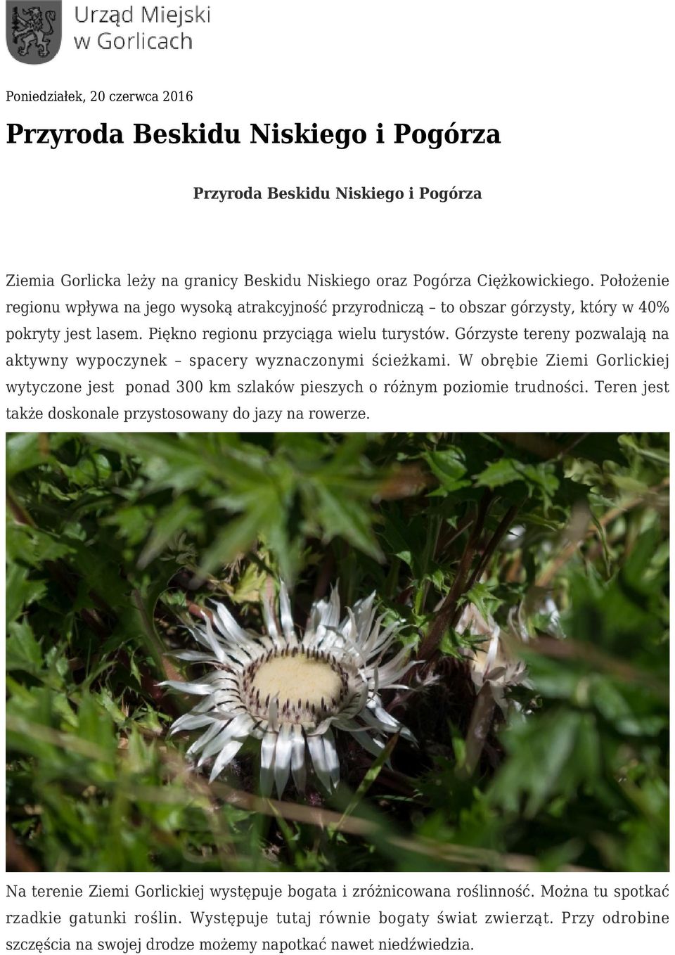Górzyste tereny pozwalają na aktywny wypoczynek spacery wyznaczonymi ścieżkami. W obrębie Ziemi Gorlickiej wytyczone jest ponad 300 km szlaków pieszych o różnym poziomie trudności.
