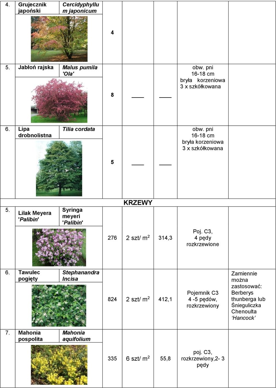 Lilak Meyera 'Palibin' Syringa meyeri 'Palibin' KRZEWY 276 2 szt/ m 2 314,3 Poj. C3, 4 pędy rozkrzewione 6.