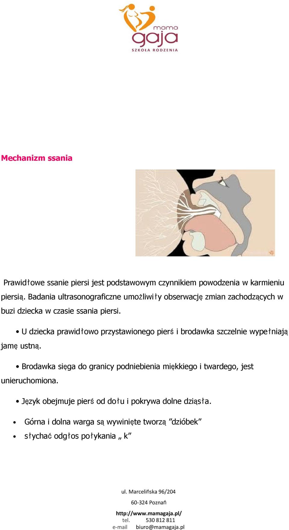 U dziecka prawidłowo przystawionego pierśi brodawka szczelnie wypełniają jamęustną.