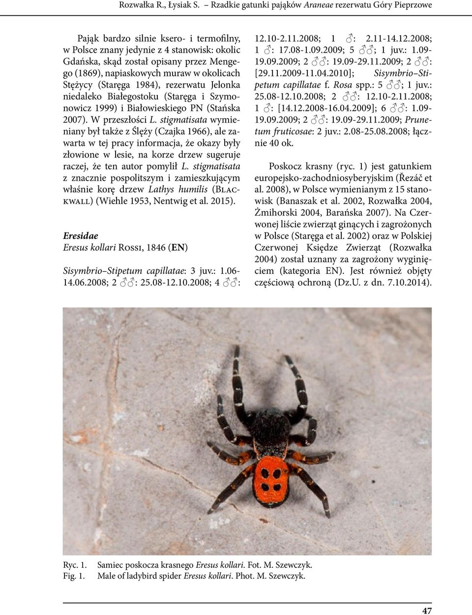 napiaskowych muraw w okolicach Stężycy (Staręga 1984), rezerwatu Jelonka niedaleko Białegostoku (Staręga i Szymonowicz 1999) i Białowieskiego PN (Stańska 2007). W przeszłości L.