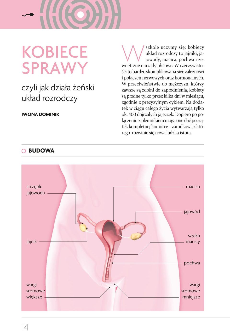 W przeciwieństwie do mężczyzn, którzy zawsze są zdolni do zapłodnienia, kobiety są płodne tylko przez kilka dni w miesiącu, zgodnie z precyzyjnym cyklem.