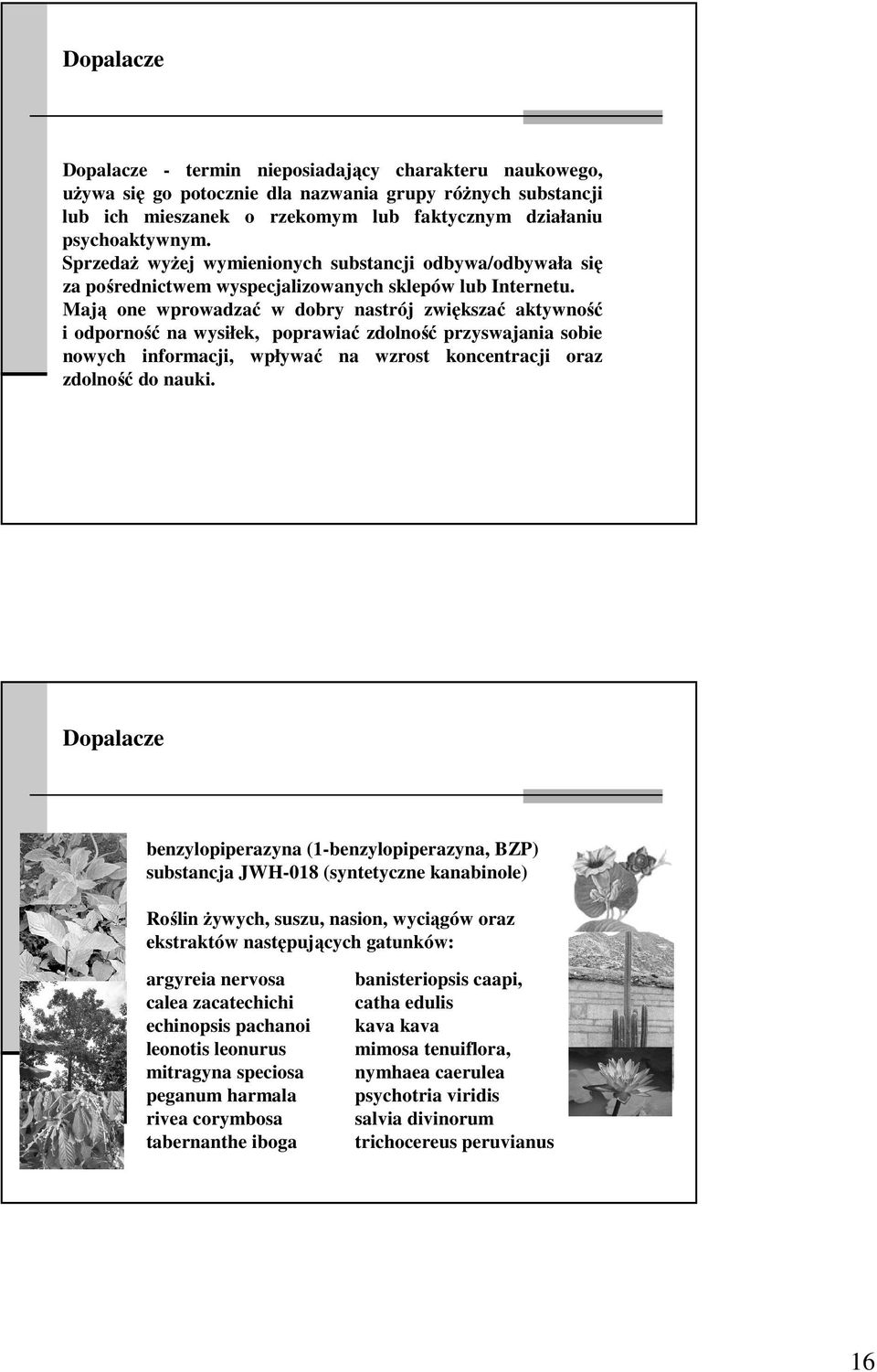 Mają one wprowadzać w dobry nastrój zwiększać aktywność i odporność na wysiłek, poprawiać zdolność przyswajania sobie nowych informacji, wpływać na wzrost koncentracji oraz zdolność do nauki.