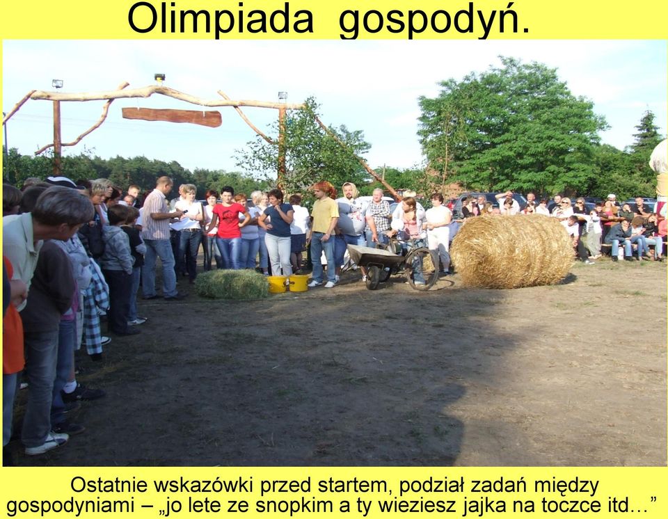 podział zadań między gospodyniami