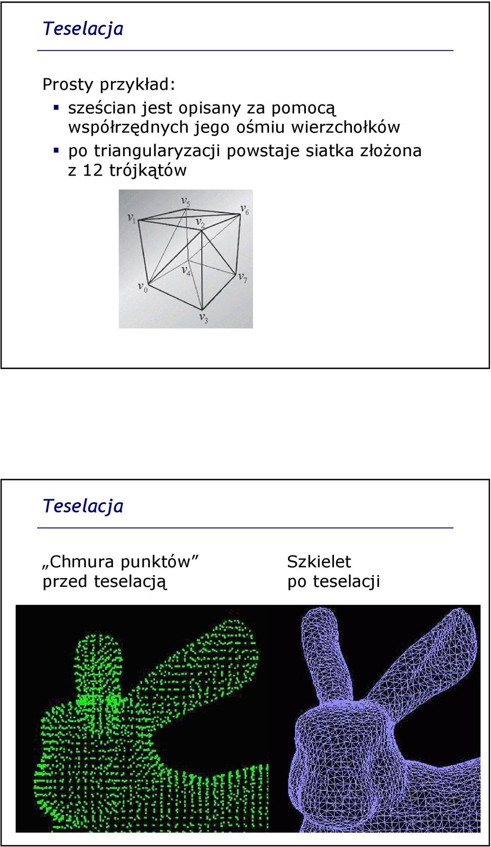 triangularyzacjipowstaje siatka złożona z 12 trójkątów