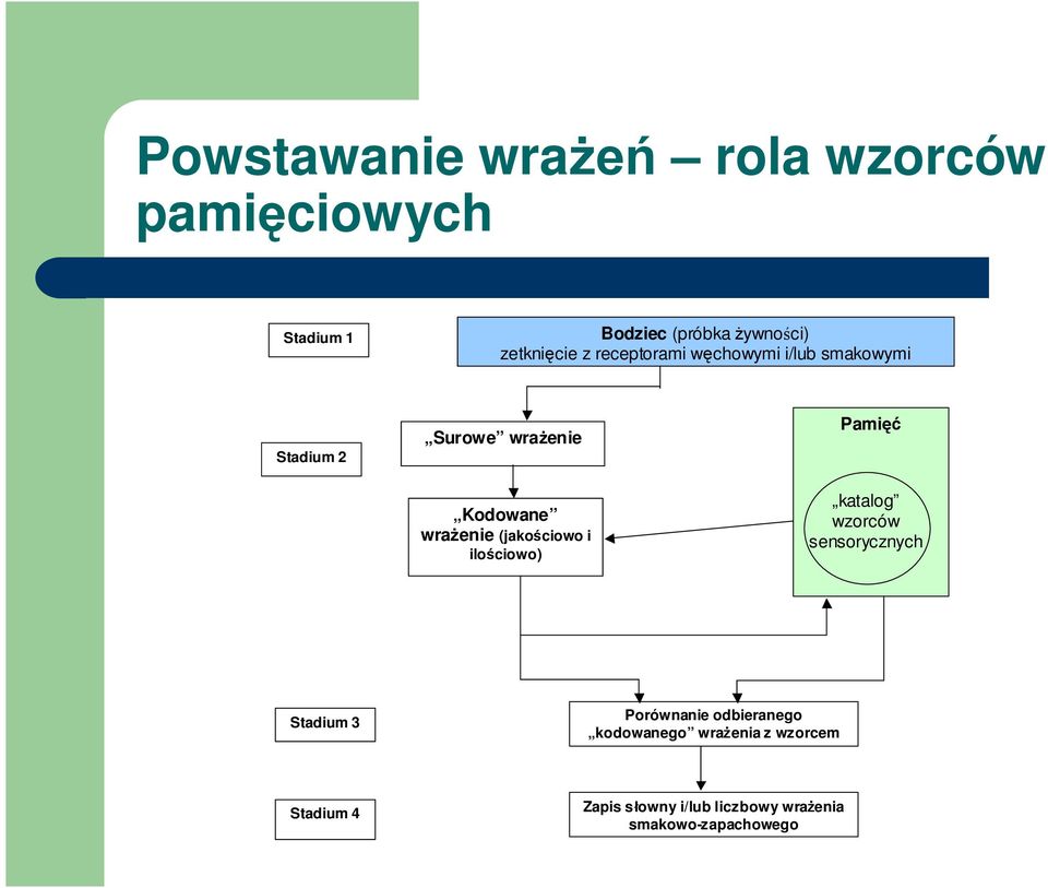 ilościowo) Pamięć katalog katalog wzorców sensorycznyc wzorców sensorycznych h Stadium 3 Porównanie