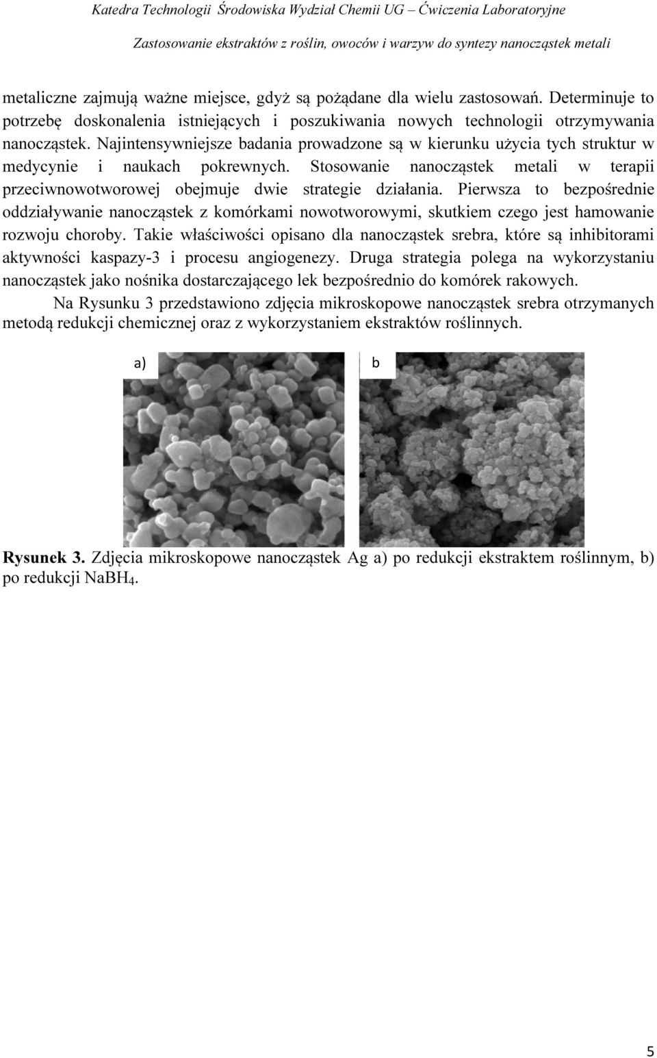 Stosowanie nanocząstek metali w terapii przeciwnowotworowej obejmuje dwie strategie działania.