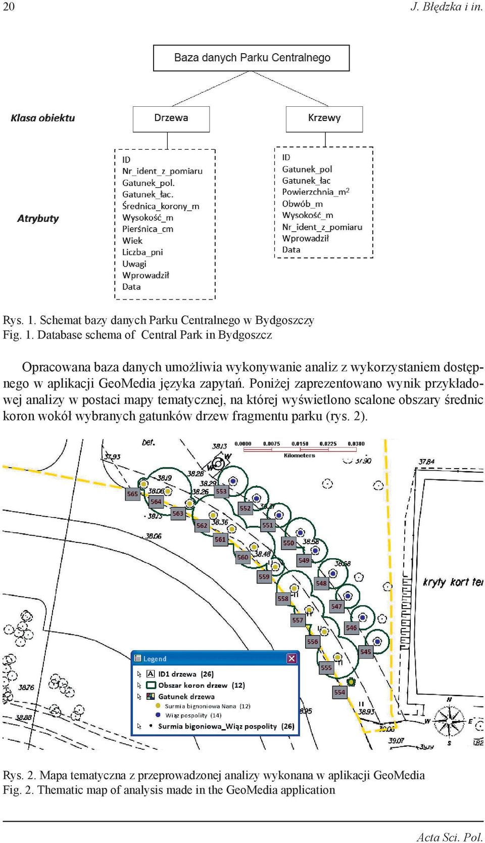 Database schema of Central Park in Bydgoszcz Opracowana baza danych umożliwia wykonywanie analiz z wykorzystaniem dostępnego w aplikacji GeoMedia