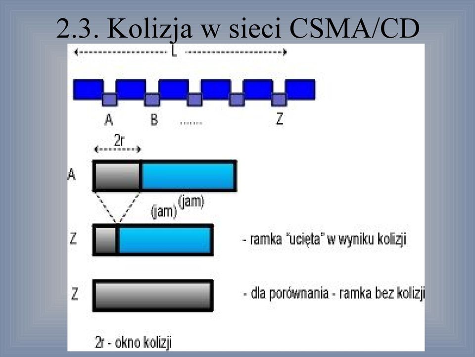 sieci