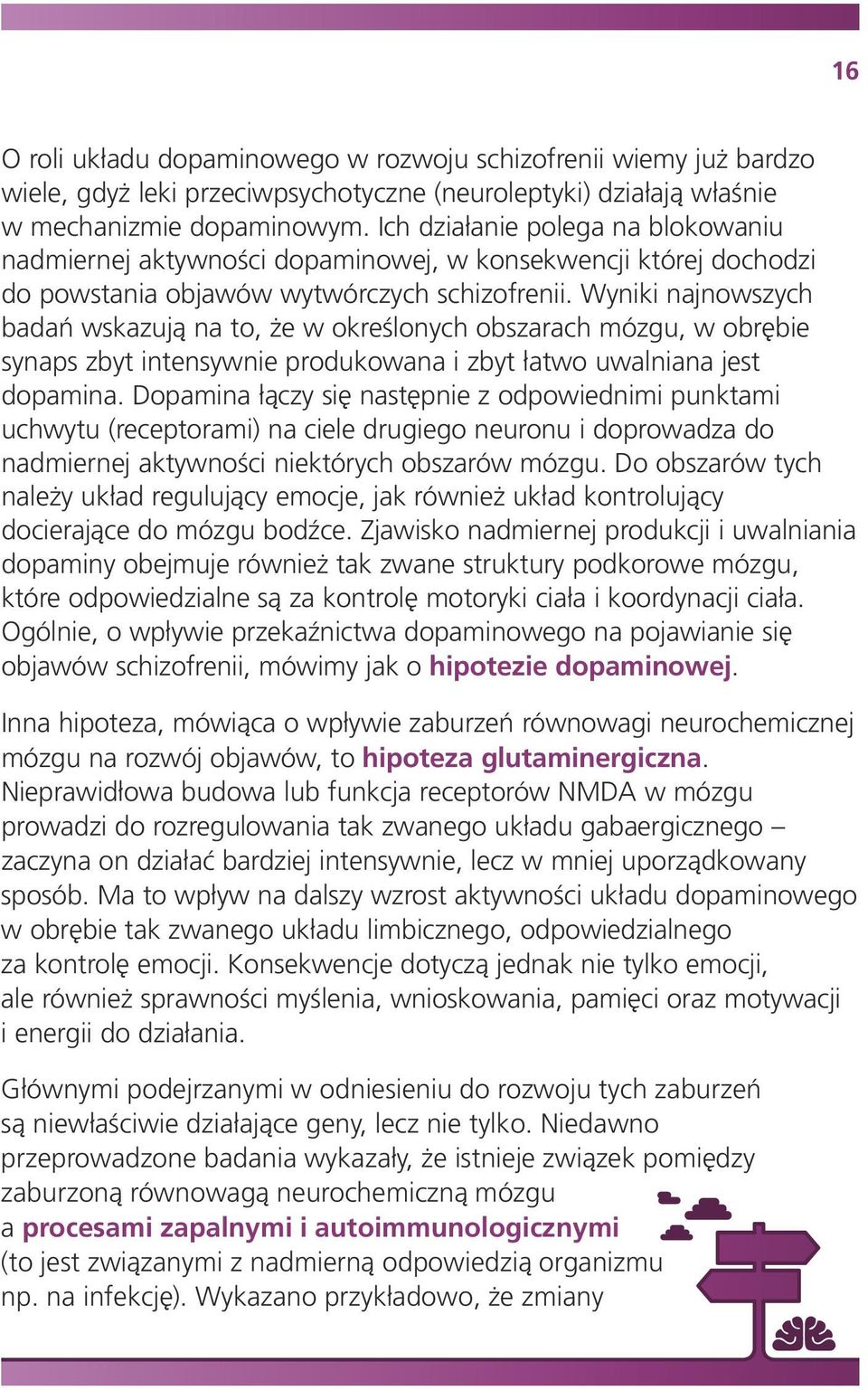 Wyniki najnowszych badań wskazują na to, że w określonych obszarach mózgu, w obrębie synaps zbyt intensywnie produkowana i zbyt łatwo uwalniana jest dopamina.