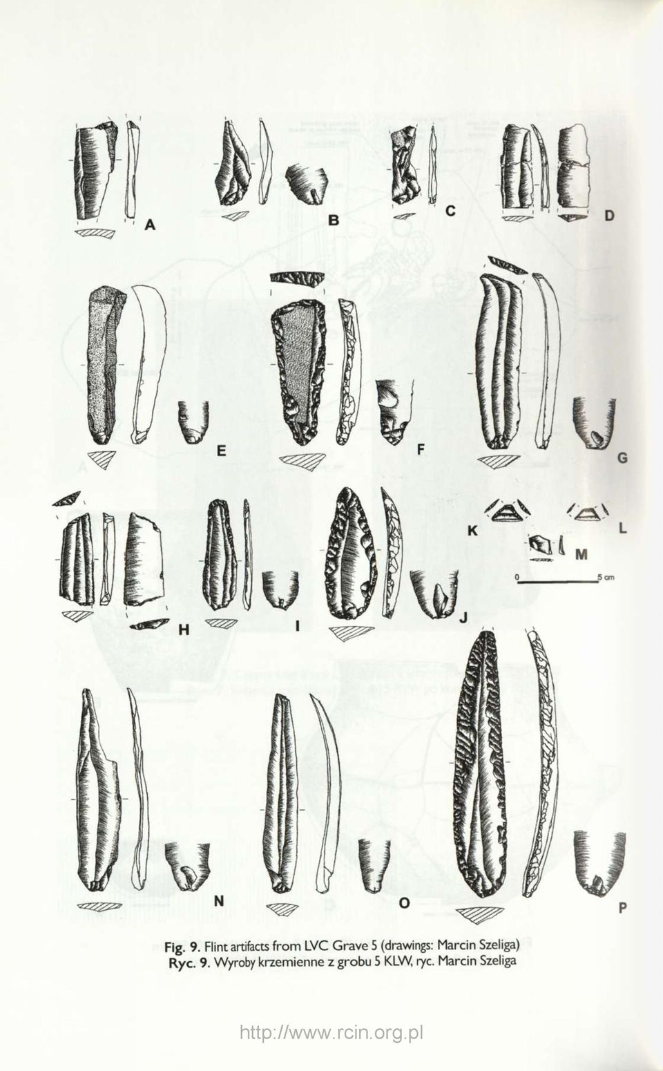 5 (drawings: Marcin Szeliga)