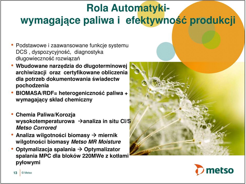 BIOMASA/RDF= heterogeniczność paliwa + wymagający skład chemiczny Chemia Paliwa/Korozja wysokotemperaturowa analiza in situ Cl/S Metso Corrored