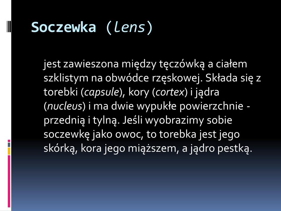 Składa się z torebki (capsule), kory (cortex) i jądra (nucleus) i ma dwie