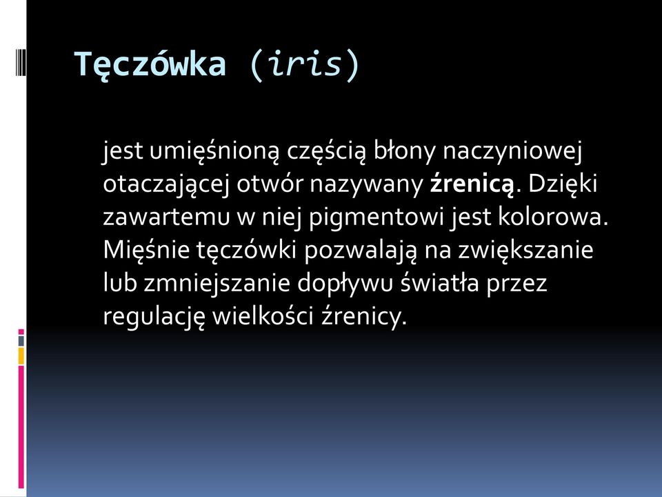 Dzięki zawartemu w niej pigmentowi jest kolorowa.